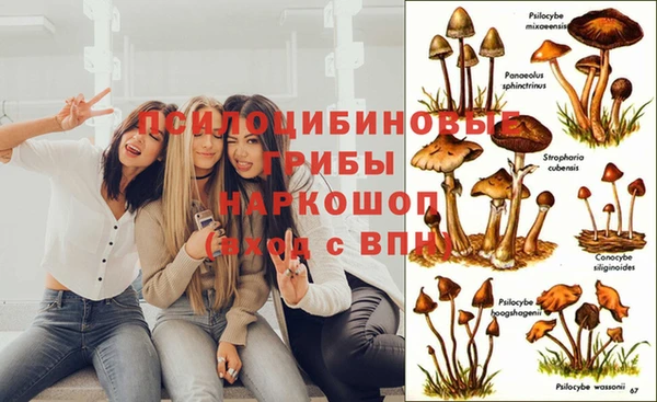 spice Касимов