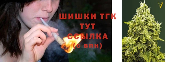 spice Касимов